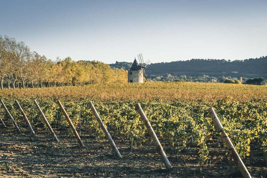 Luberon: Vineyard Tour and Wine Tasting - Starting inside the Château de Sannes boutique