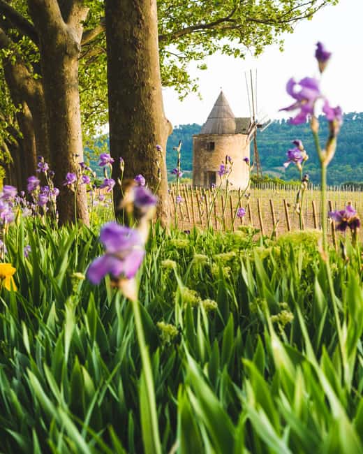 Luberon: Vineyard Tour and Wine Tasting - Views toward Ansouis and the surrounding villages