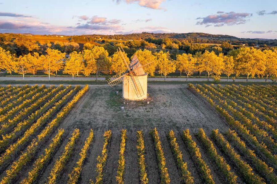 Luberon: Vineyard Tour and Wine Tasting - Practical tips for a smoother visit