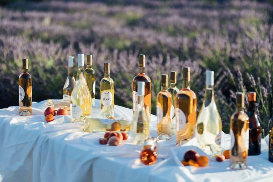 Luberon: Vineyard Tour and Wine Tasting - Should you book Château de Sannes?