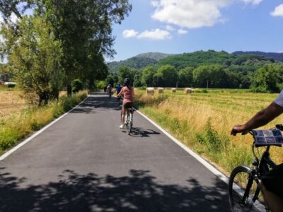 Picnic Lunch at a Vineyard by Bike