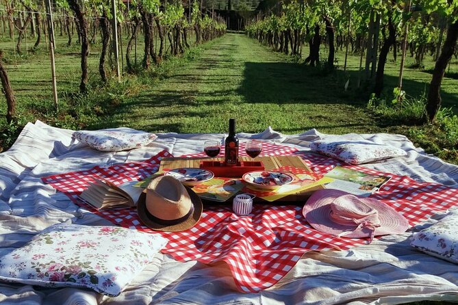Lucca: self-guided bike tour + picnic in the vineyards - From Lucca’s walls to open country