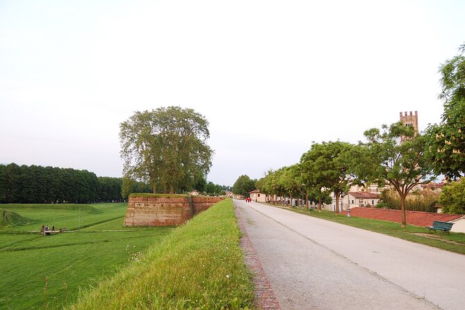 Lucca: self-guided bike tour + picnic in the vineyards - Country lanes and the family farm