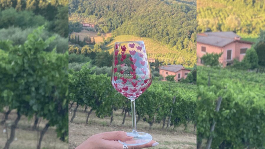 Lucca: Vineyard Paint & Sip at Tenuta Adamo Winery - The people and atmosphere at Tenuta Adamo