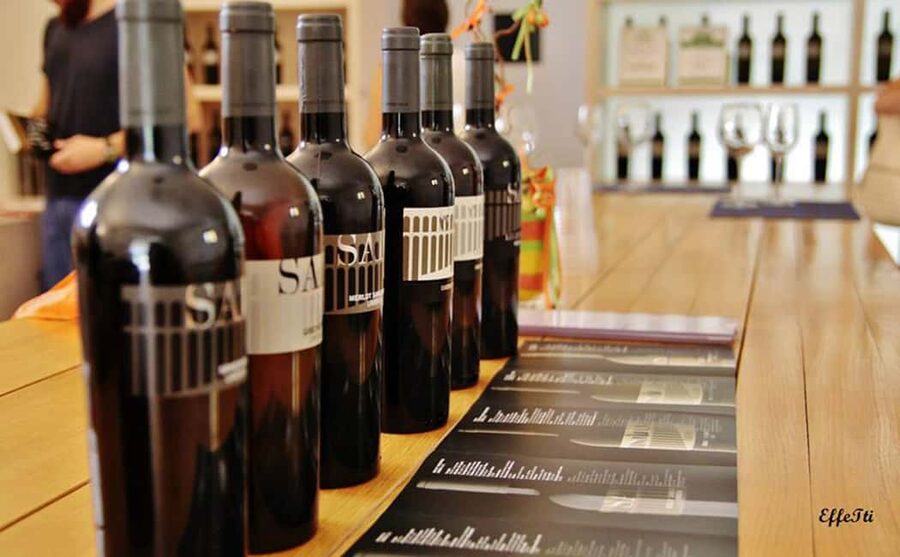 Lunch and tasting 5 wines + walk in the panoramic vineyards - Key points at a glance