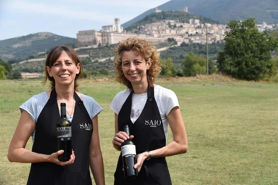 Lunch and tasting 5 wines + walk in the panoramic vineyards - The tasting begins with five SAIO wines