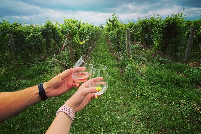 Lunch in the Vineyard: A Scenic Niagara Wine Tour Experience - Bella Terra for Family Wine and Casual Pairings
