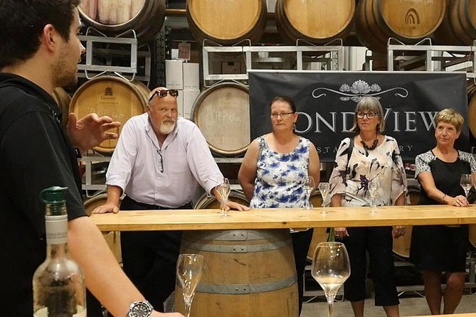 Lunch in the Vineyard: A Scenic Niagara Wine Tour Experience - Pace, Group Size, and Who Will Enjoy It