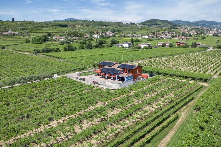 LUNCH IN VERONA: LIGHT LUNCH AMONG THE VINEYARDS AND IN THE WINERY - Who will enjoy this Valpolicella experience?