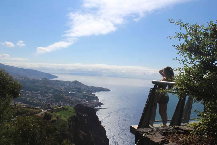 Madeira: Vineyard Tour w/ Wine Tasting & Skywalk - Why this four-hour tour works well