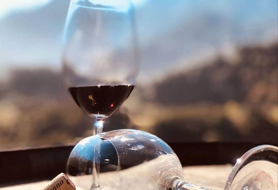 Madeira: Vineyard Tour w/ Wine Tasting & Skywalk - São Vicente vineyard visit and the tasting table