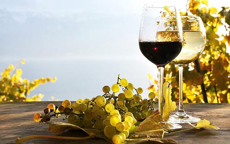 Madeira: Vineyard Tour w/ Wine Tasting & Skywalk - What the drive adds to the experience