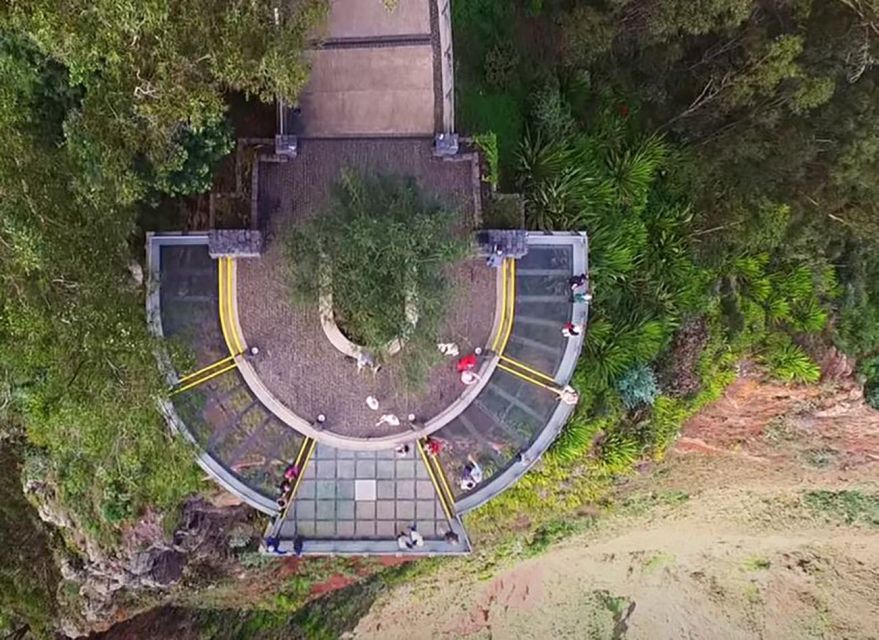 Madeira: Vineyard Tour w/ Wine Tasting & Skywalk - Who will get the most from this experience