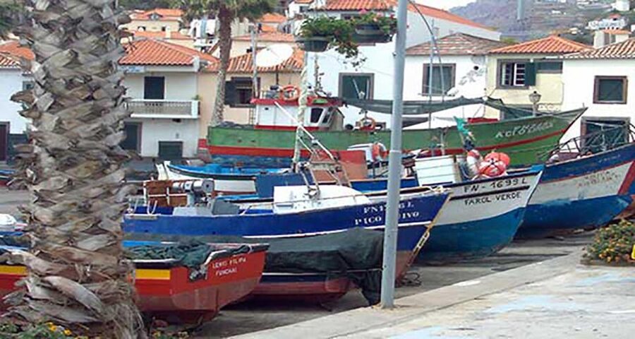 Madeira: Vineyard Tour w/ Wine Tasting & Skywalk - Should you book it?