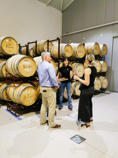 Madrid: half day wine region tour - Why Madrid’s wine country is worth your time