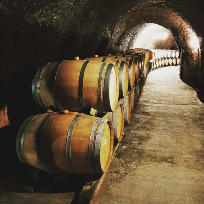 Madrid: half day wine region tour - The second winery and a broader tasting
