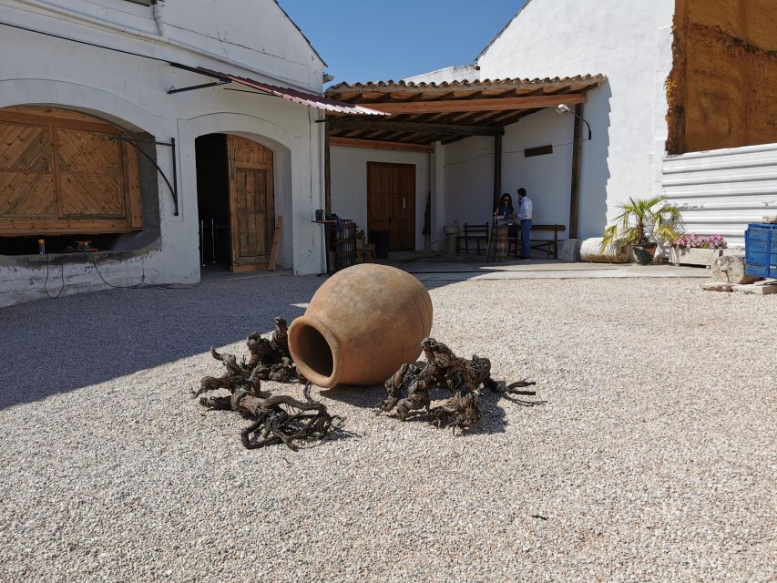 Madrid: half day wine region tour - What the six-hour schedule feels like