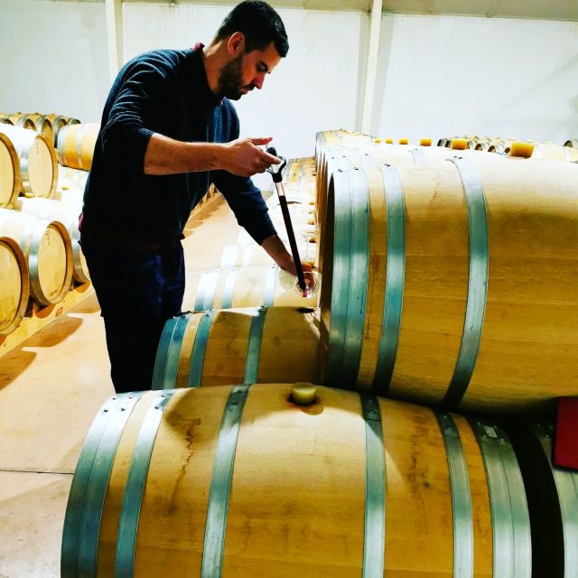 Madrid: half day wine region tour - Who will enjoy this tour most