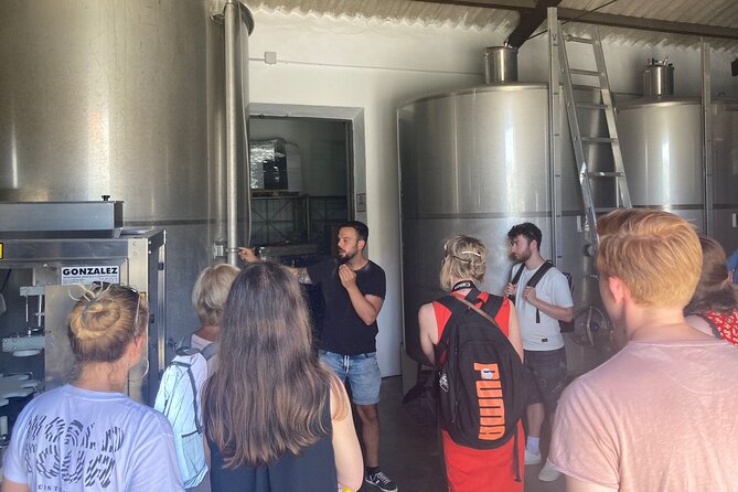 Malaga Organic Vineyard and Winery Six Wines Tapas and Transfer - Leaving Malaga for the hills above the coast