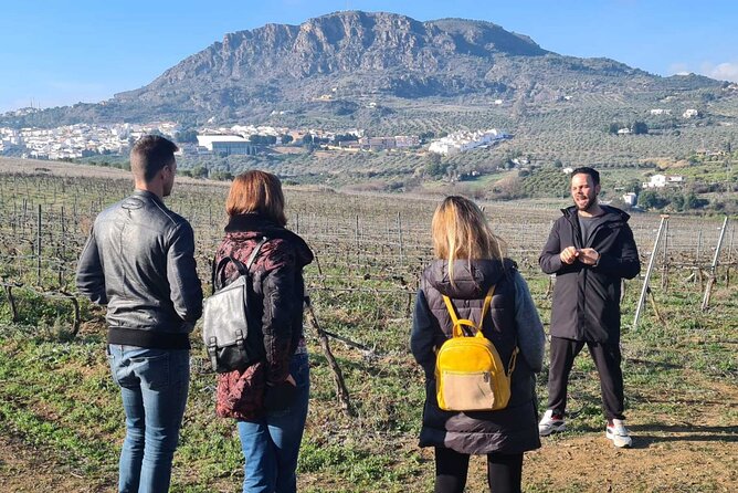 Malaga Organic Vineyard and Winery Six Wines Tapas and Transfer - Why the food matters to the value