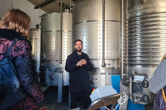 Malaga Organic Vineyard and Winery Six Wines Tapas and Transfer - The return to Plaza de la Marina