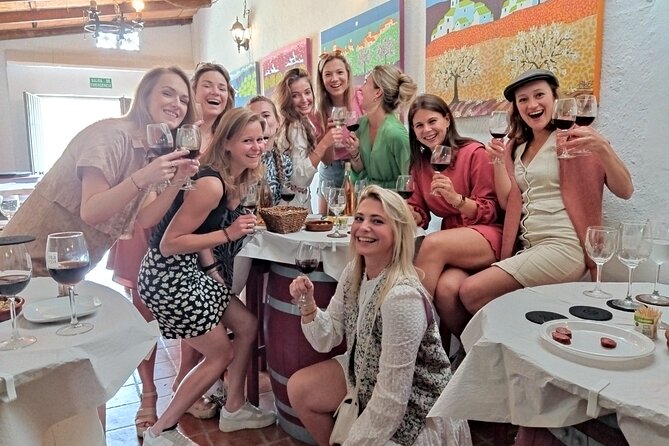 Malaga Organic Vineyard and Winery Six Wines Tapas and Transfer - Who will enjoy this Malaga wine tour