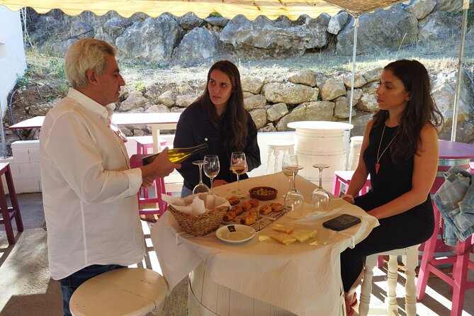 Malaga Organic Vineyard and Winery Six Wines Tapas and Transfer - Practical details that affect the day