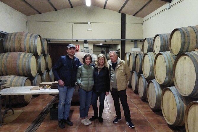 Malaga Organic Vineyard and Winery Six Wines Tapas and Transfer - Walking through Viñedo Malvajio at 400 meters