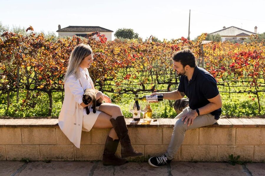 Malaga: Organic Vineyard Tour with 6 Wines, Tapas & Transfer - Key points at a glance