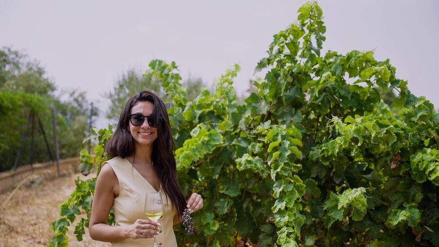 Malaga: Organic Vineyard Tour with 6 Wines, Tapas & Transfer - From Málaga’s Plaza de la Marina to the hills