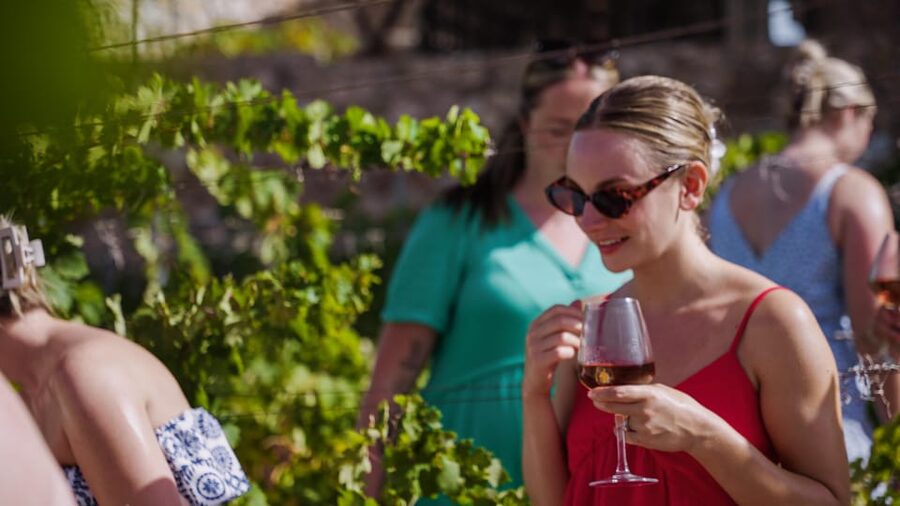 Malaga: Organic Vineyard Tour with 6 Wines, Tapas & Transfer - Inside Antonio’s garage-style winery