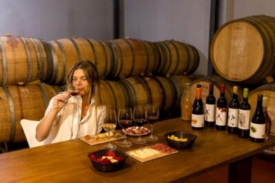 Malaga: Organic Vineyard Tour with 6 Wines, Tapas & Transfer