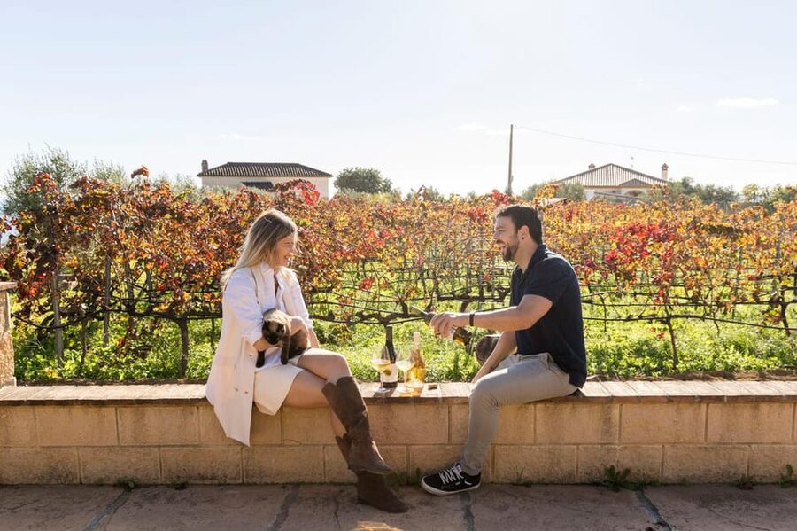 Malaga: Organic Vineyard Tour with 6 Wines, Tapas & Transfer - Six wines, and sometimes a little more