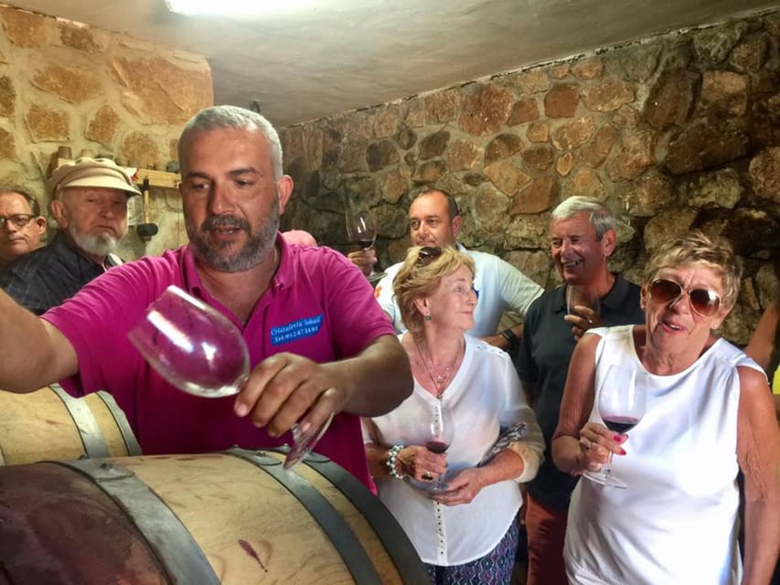 Malaga: Organic Vineyard Tour with 6 Wines, Tapas & Transfer - Tapas that actually match the wine