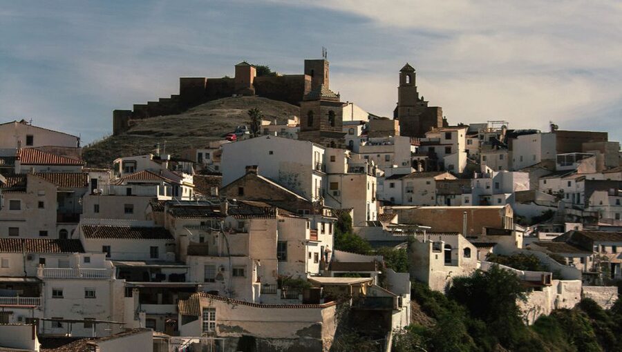 Malaga: White Village, Vineyard, and Wine Tasting Wine Tour - Small group size and the role of Ramón