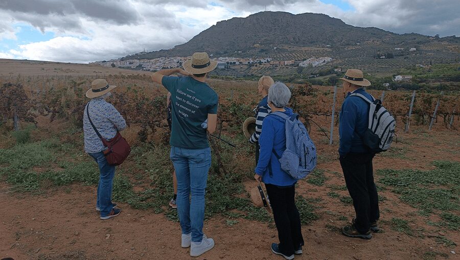 Malaga: White Village, Vineyard, and Wine Tasting Wine Tour - Is $106 a fair price?