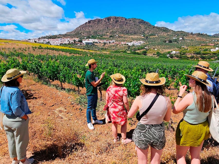 Malaga: White Village, Vineyard, and Wine Tasting Wine Tour - Álora’s church, castle, and uphill streets