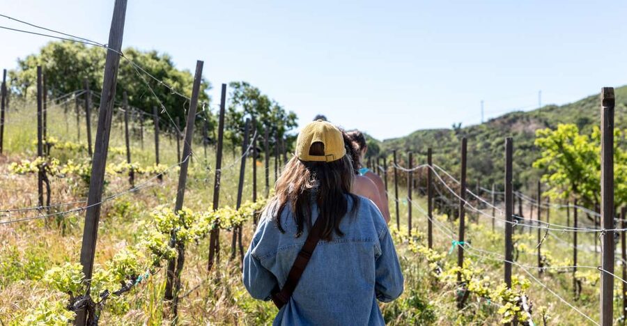Malibu: Guided Vineyard Hike with Photo Stops and Wine - Key points to know before you book
