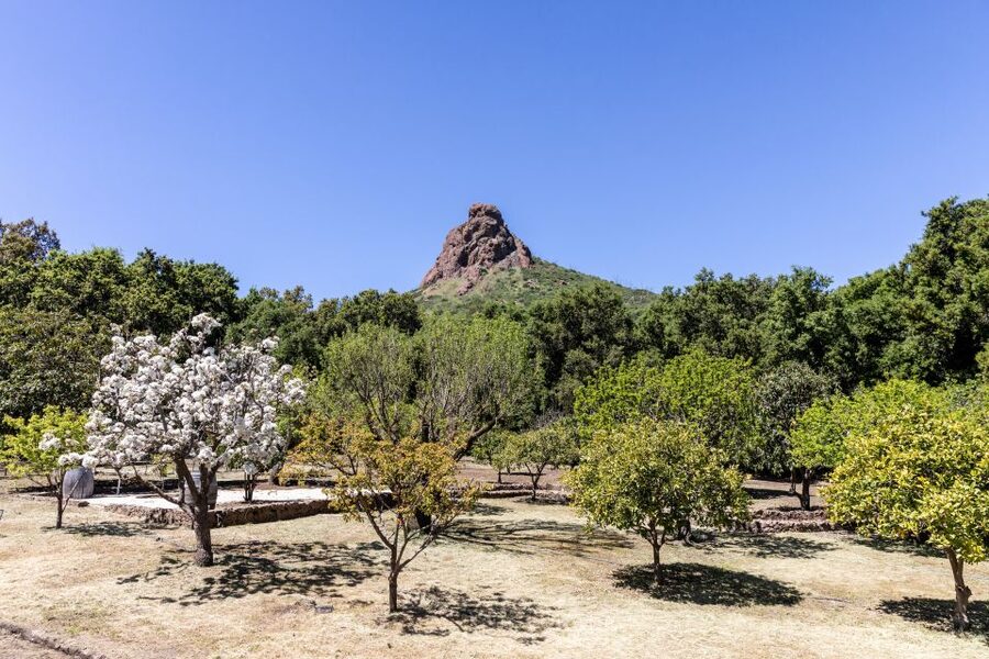 Malibu: Guided Vineyard Hike with Photo Stops and Wine - Who will enjoy this most?