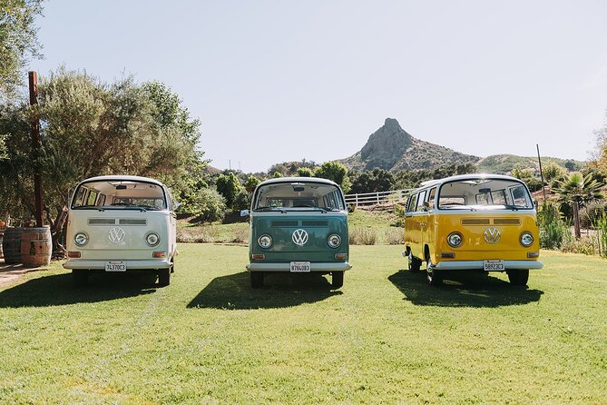 Malibu: Vintage VW Bus and Vineyard Tour - Local snacks make the schedule feel complete