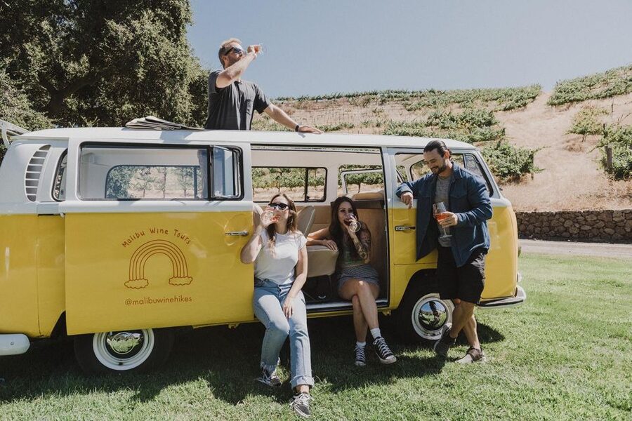 Malibu: Vintage VW Bus and Vineyard Tour - Who will enjoy this Malibu tour most?