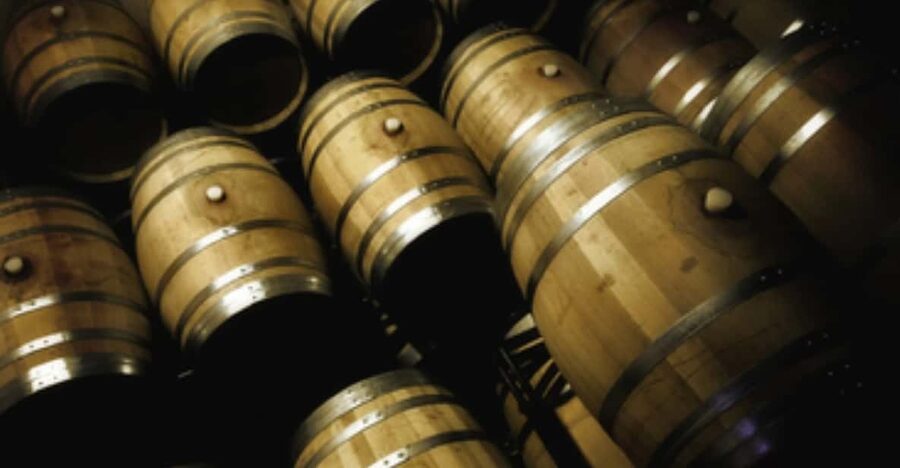Mallorca: Bodega Butxet Vineyards & Winery Tour with Tasting - Key points to know before booking