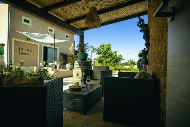 Mallorca: Winery visit and wine tasting, with Mallorcan products - Why Pla de Buc is the right starting point