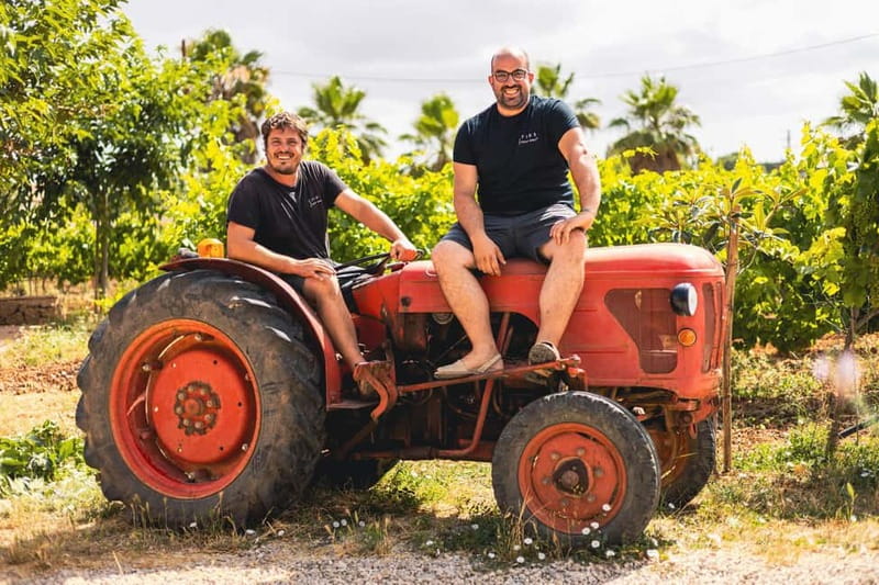 Mallorca: Winery visit and wine tasting, with Mallorcan products - Inside the 7103 Petit Celler winery