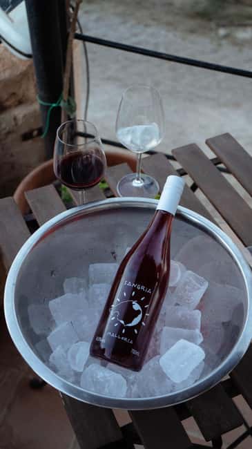 Mallorca: Winery visit and wine tasting, with Mallorcan products - Seven wines, not just one quick sample