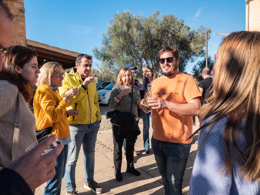 Mallorca: Winery visit and wine tasting, with Mallorcan products - A private visit with a local feel