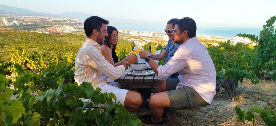 Manilva: Nilva Vineyard, Wine Tasting & Tapas Guided Tour - Why Manilva wine feels different from a standard Costa del Sol tasting