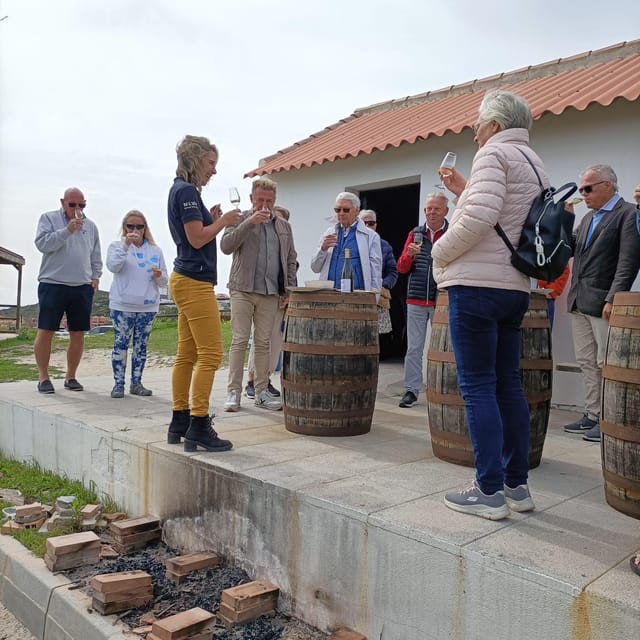 Manilva: Nilva Vineyard, Wine Tasting & Tapas Guided Tour - The strongest part of the experience: a small project with a clear purpose