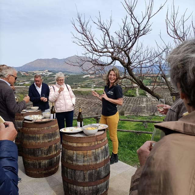 Manilva: Nilva Vineyard, Wine Tasting & Tapas Guided Tour - Who will enjoy the Nilva experience most