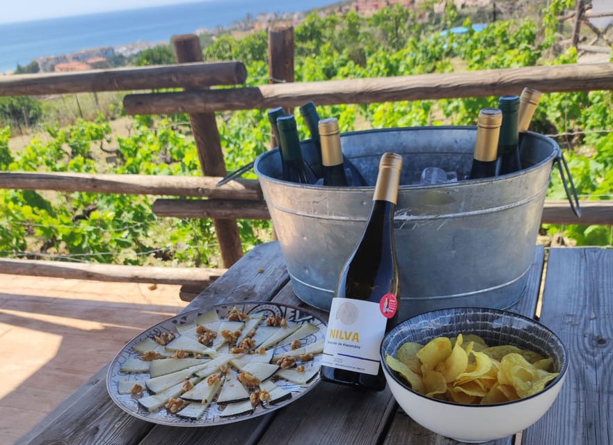 Manilva: Nilva Vineyard, Wine Tasting & Tapas Guided Tour - Is $35 a fair price?